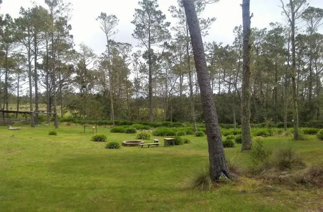 Villa Pajon Eco Lodge Constanza valle nuevo